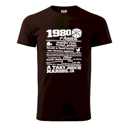 1980 v kostce