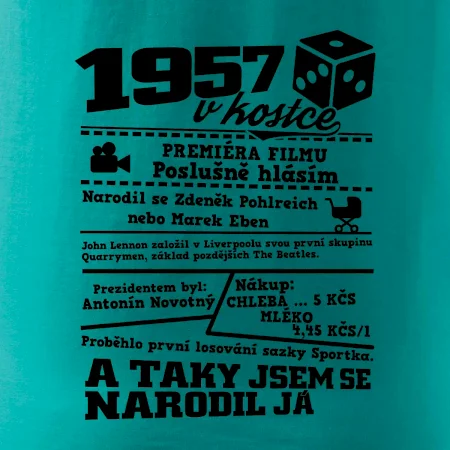 1957 v kostce