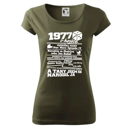 1977 v kostce