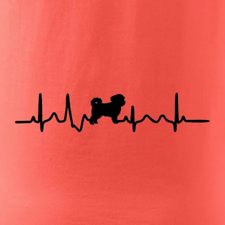 Havanský psík ekg