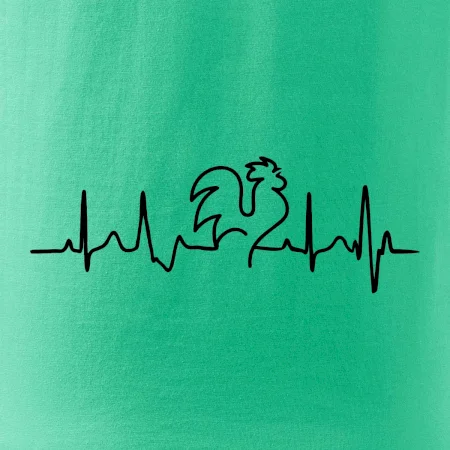 Kohout ekg