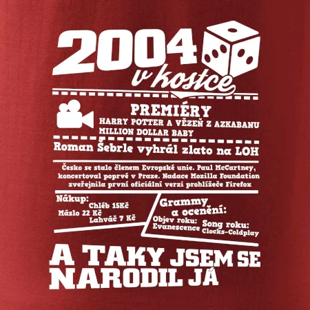 2004 v kostce