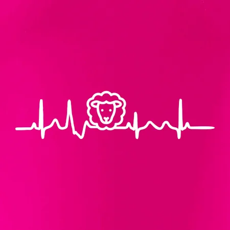 Ekg ovce