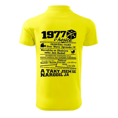 1977 v kostce