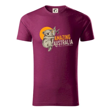Amazing Australia koala