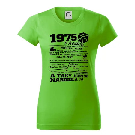 1975 v kostce