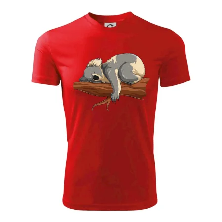 Koala na větvi