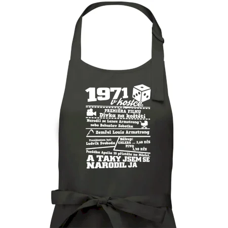 1971 v kostce
