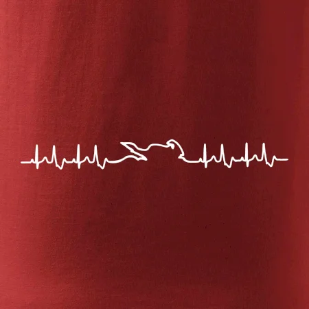 Moto EKG