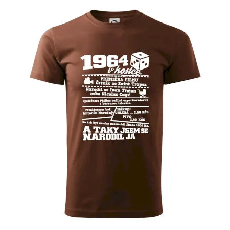 1964 v kostce