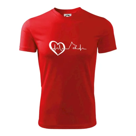 Německý ovčák ekg