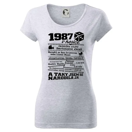 1987 v kostce