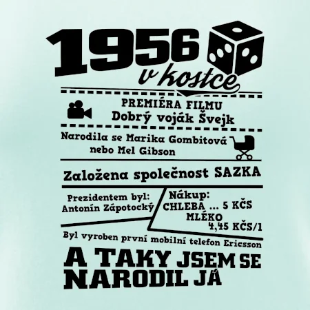 1956 v kostce