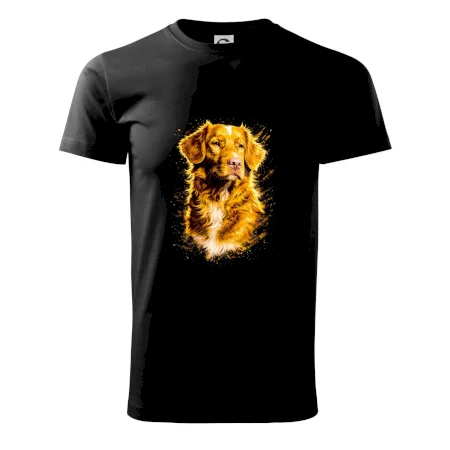 Obrázek polotón  Kanadský retrívr (Nova Scotia Duck Tolling Retriever)