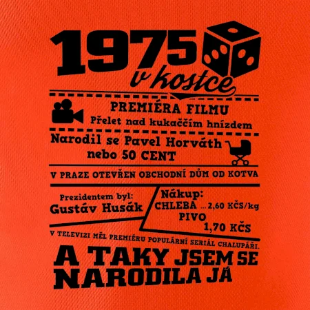 1975 v kostce