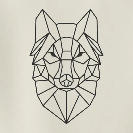 Geometrie - vlk