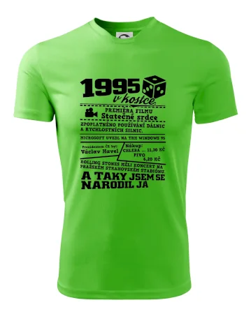 1995 v kostce