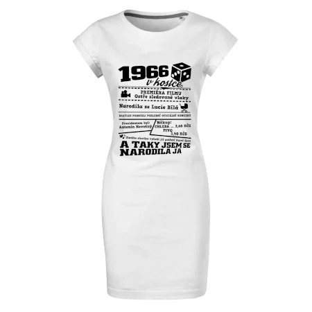1966 v kostce
