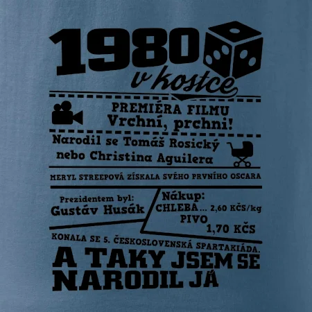 1980 v kostce