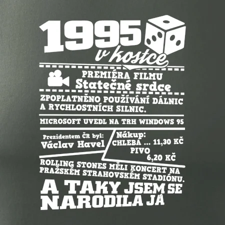 1995 v kostce
