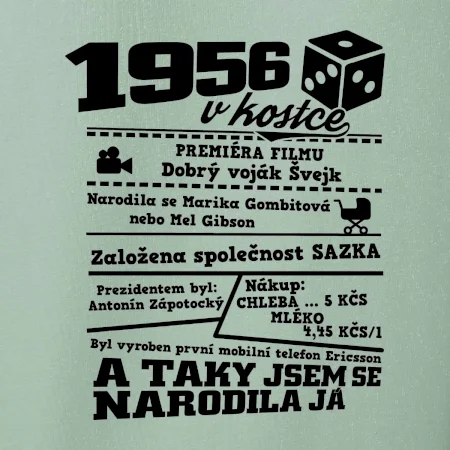 1956 v kostce