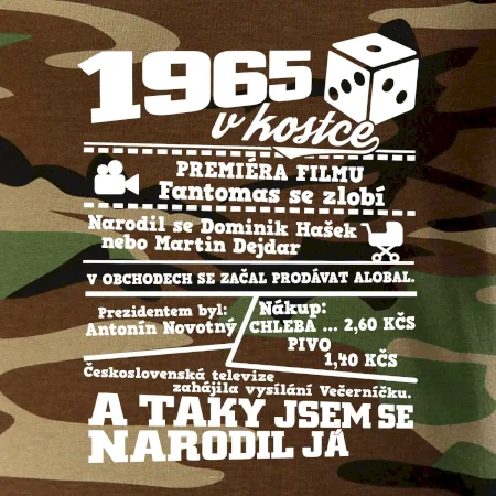 1965 v kostce