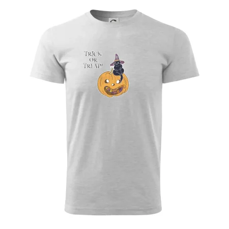 Dýně a kočka