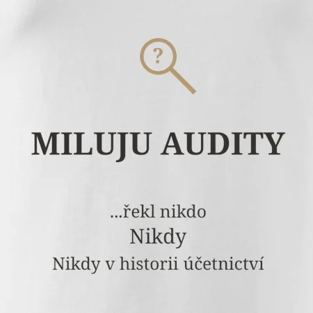Miluju audity řekl nikdo nikdy