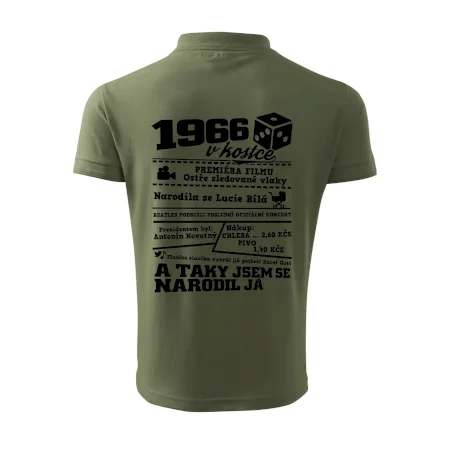 1966 v kostce