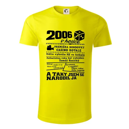 2006 v kostce