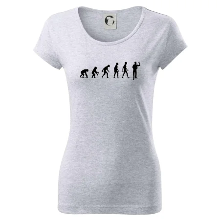 Evoluce šipky
