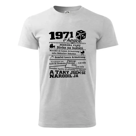1971 v kostce