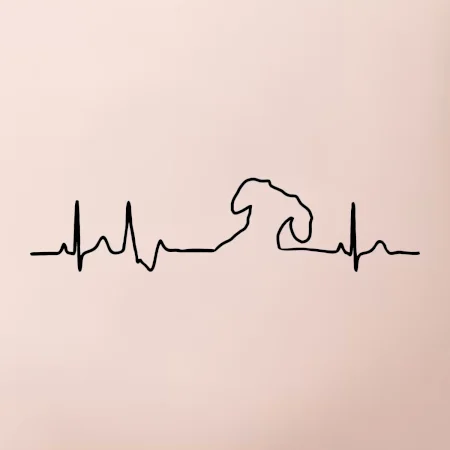 Jezevčík EKG