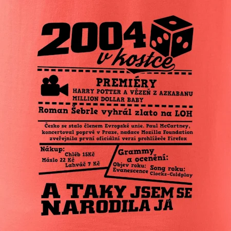 2004 v kostce