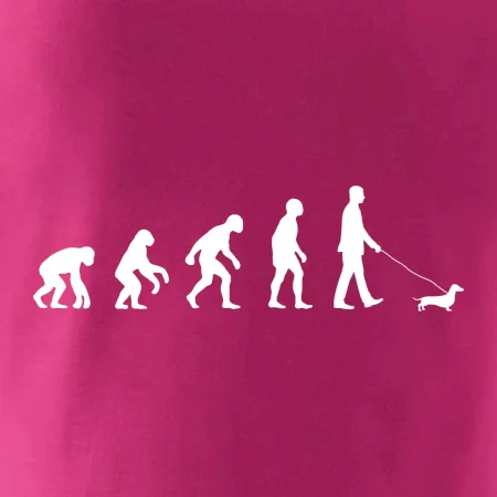 Jezevčík Evoluce muž / žena
