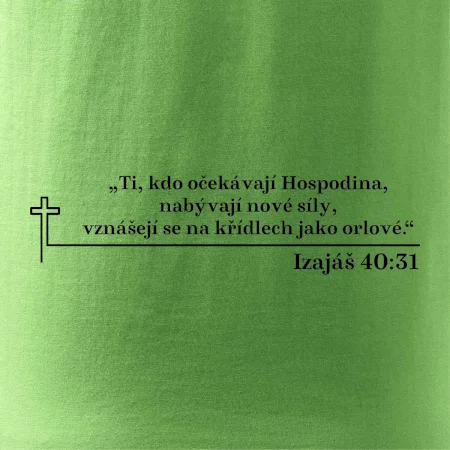 Citáty z bible - Izajáš 40:31