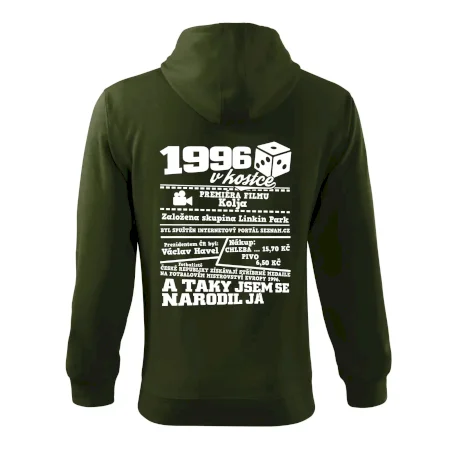 1996 v kostce