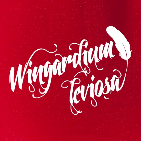 Harry - Wingardium Leviosa