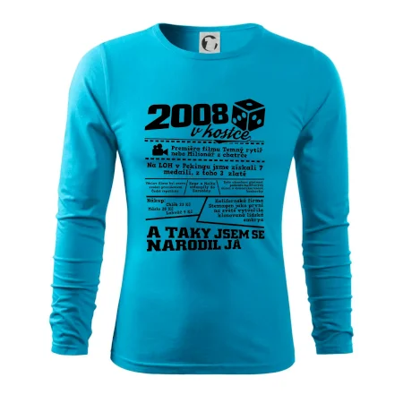 2008 v kostce