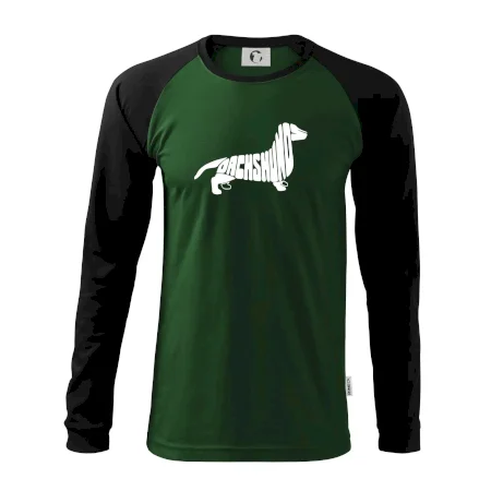 Jezevčík - Dachshund