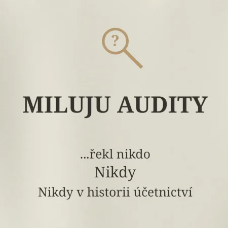 Miluju audity řekl nikdo nikdy