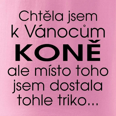 Chtěla jsem k Vánocům koně