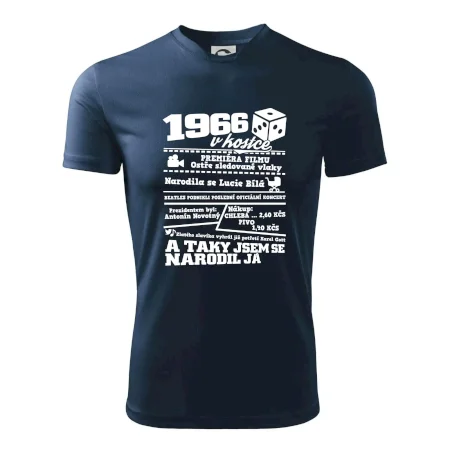 1966 v kostce
