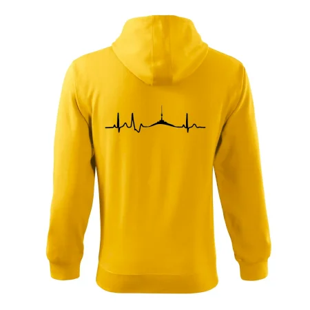 Ekg Jeseníky