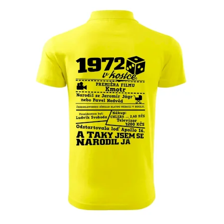 1972 v kostce