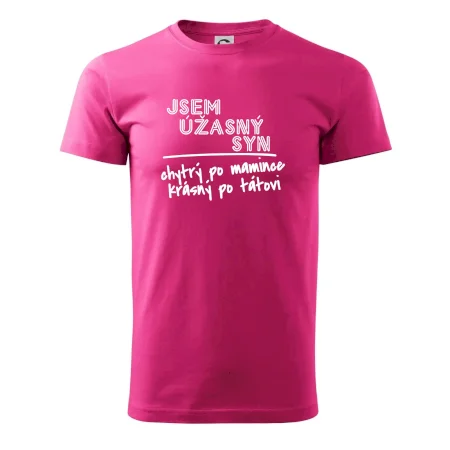 Jsem úžasný syn