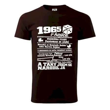 1965 v kostce