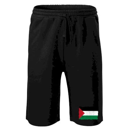 Palestina vlajka - odřená