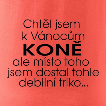 Chtěl jsem dostat k Vánocům koně