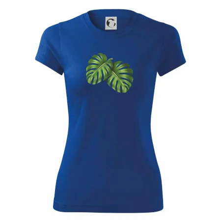 Monstera - dva listy